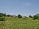 Photo suivante de Saint-Cibard Les Vignobles