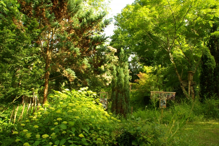 Photo à Saint-Denis-de-Pile (33910) : Arboretum de Picampeau - Saint