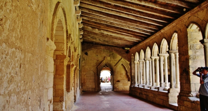 La Collégiale ( Le Cloître ) - Saint-Émilion