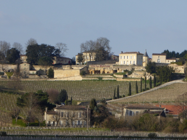 Clos la Madeleine - Saint-Émilion