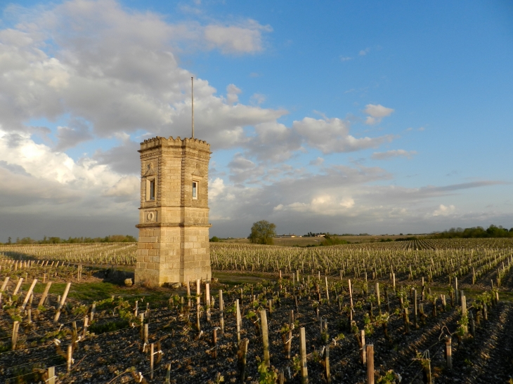 Tour au milieu des vignes à Leyssac. - Saint-Estèphe