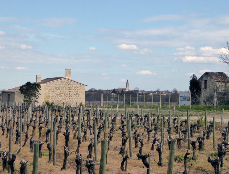 Le village vu du vignoble - Saint-Estèphe