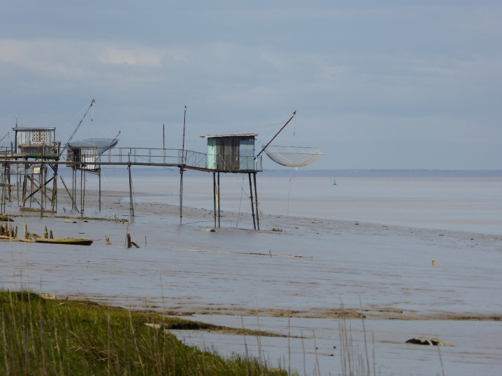 Carrelets - Saint-Estèphe