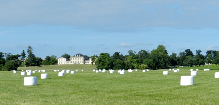 Château Phélan Ségur - Saint-Estèphe