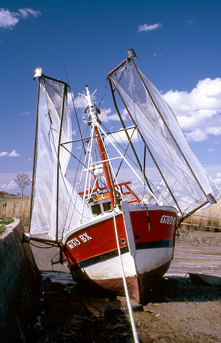 Bateau de pêche au Port de la Chapelle. - Saint-Estèphe