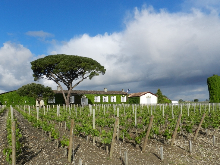 Château Meyney et son château d'eau - Saint-Estèphe