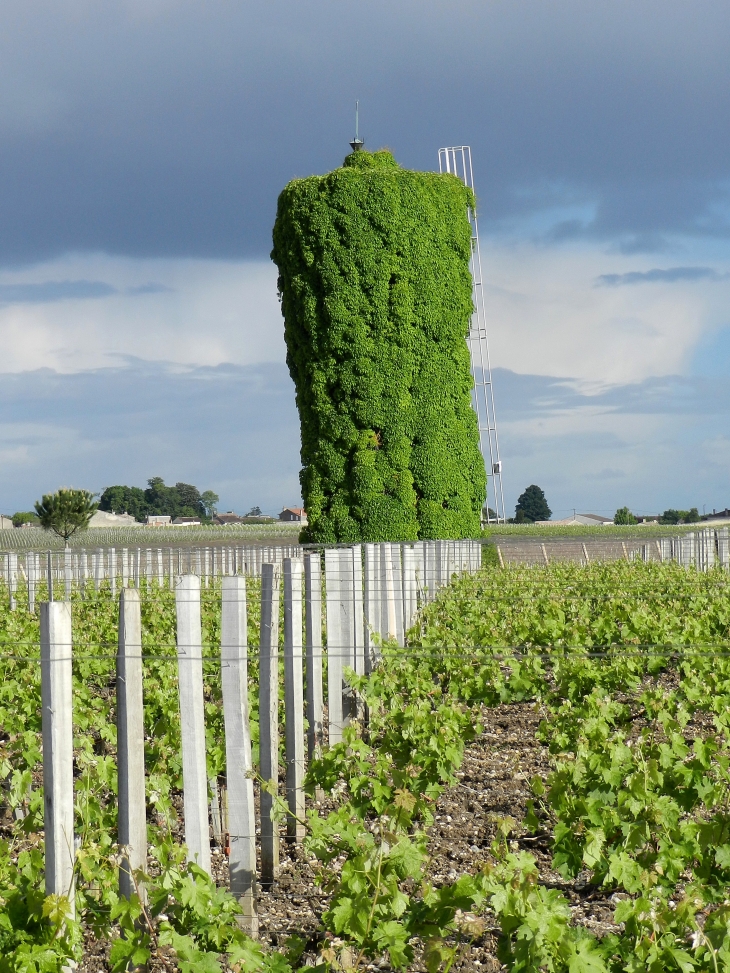 Le château d'eau ( penché ) du château Meyney - Saint-Estèphe