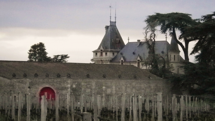 Ancien château fort de Pressac. - Saint-Étienne-de-Lisse