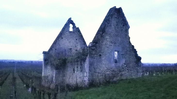 Ruines de la chapelle Saint Faure XIIIème. - Saint-Étienne-de-Lisse