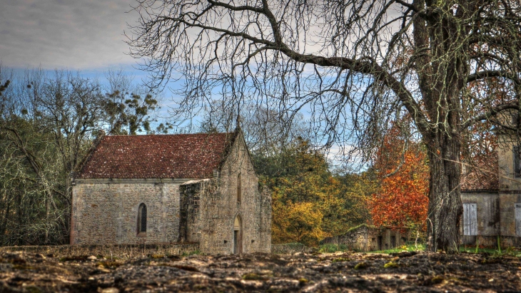 Château de Pommiers - Saint-Félix-de-Foncaude