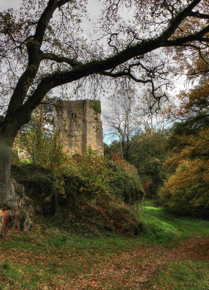 Château de Pommiers - Saint-Félix-de-Foncaude