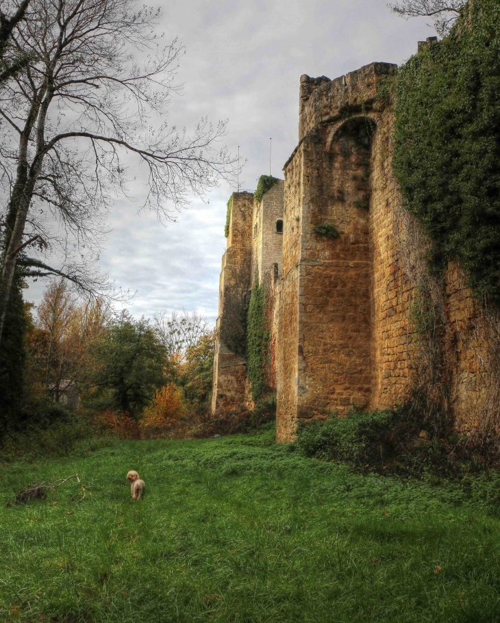 Château de Pommiers - Saint-Félix-de-Foncaude