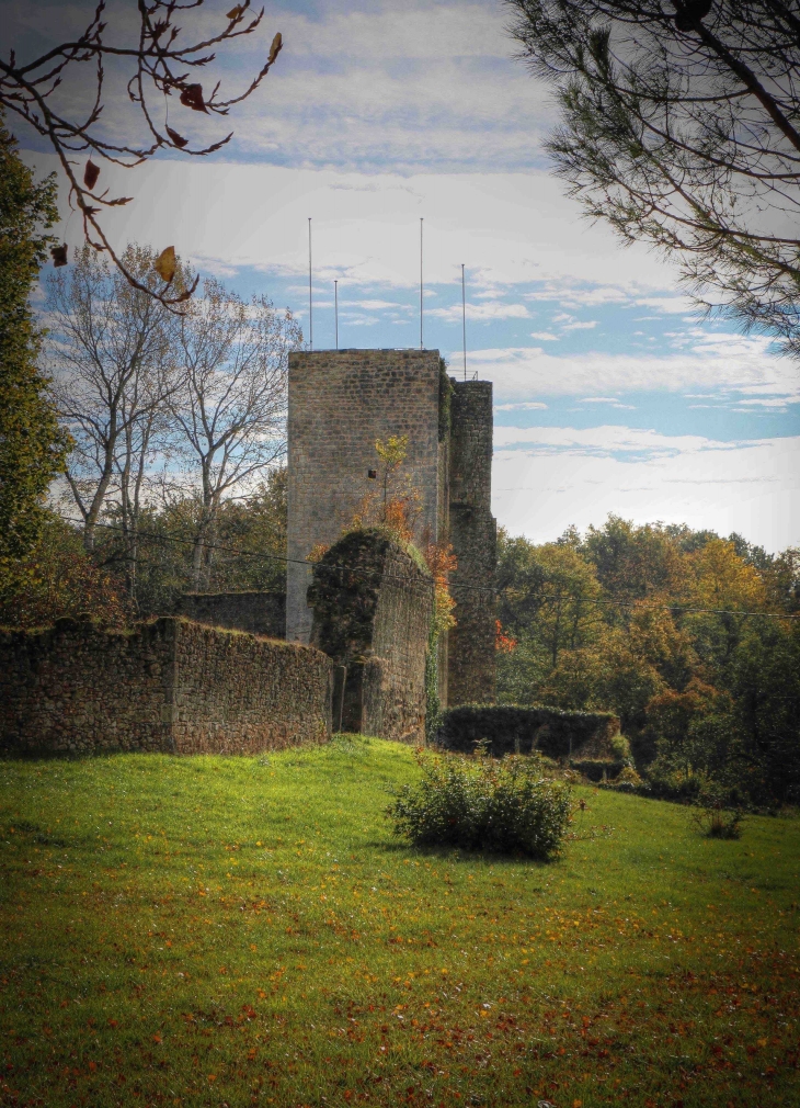 Château de Pommiers - Saint-Félix-de-Foncaude