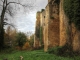 Photo précédente de Saint-Félix-de-Foncaude Château de Pommiers