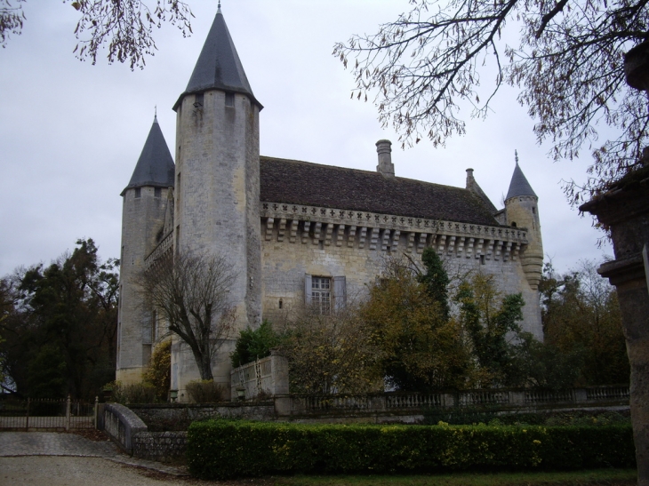 Château du Grand Puch, spécimen de l'architecture militaire du 14ème siècle. - Saint-Germain-du-Puch