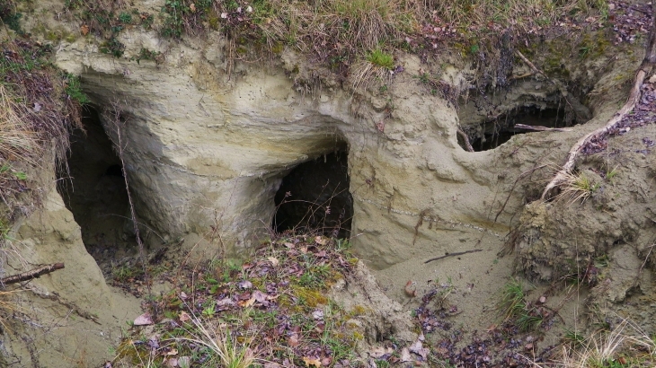 Entrée du souterrain-refuge de Bérie. - Saint-Pey-de-Castets