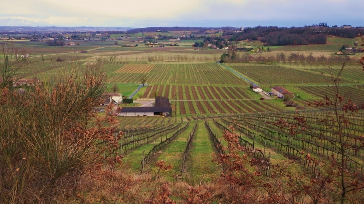 Vue sur la vallée de l'Escouach. - Saint-Pey-de-Castets