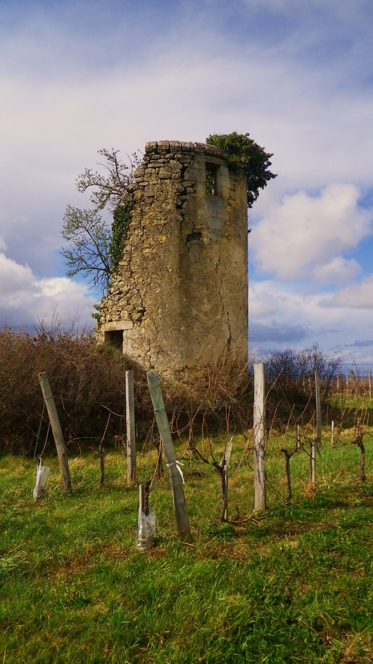 Vestiges d'un moulin à vent à Grand Vigne. - Saint-Pey-de-Castets