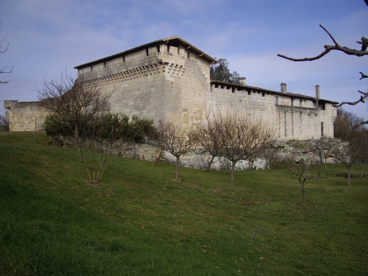 Château-fort de Bisqueytan 12/16ème. - Saint-Quentin-de-Baron