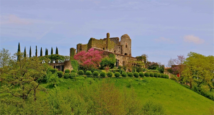 Château de Caze - Saint-Sulpice-de-Guilleragues