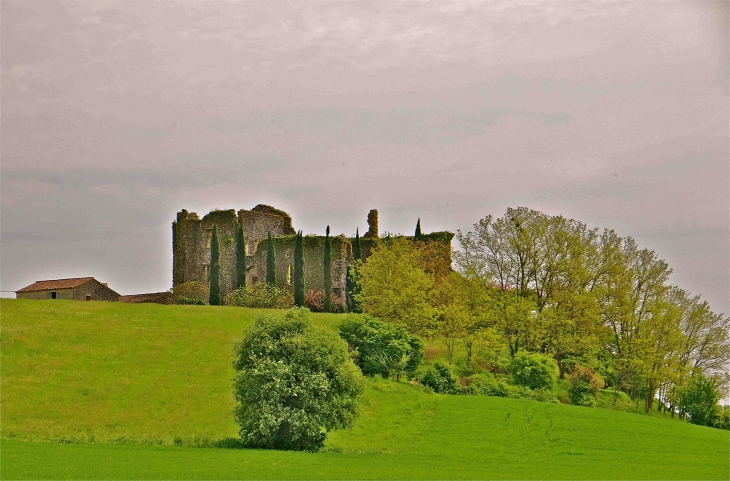 Château de Caze - Saint-Sulpice-de-Guilleragues