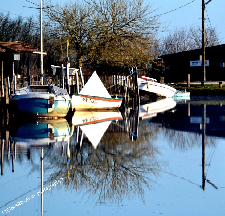 Jolie petit port au bord de l'estuaire - Saint-Vivien-de-Médoc