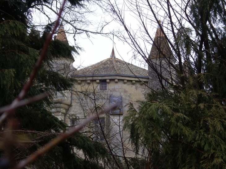 Le château féodal 14ème. - Savignac-de-l'Isle