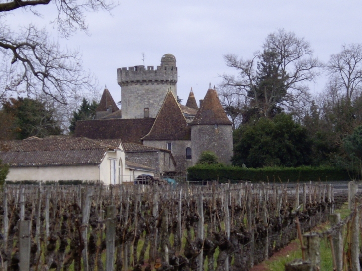 Le château féodal 14ème. - Savignac-de-l'Isle