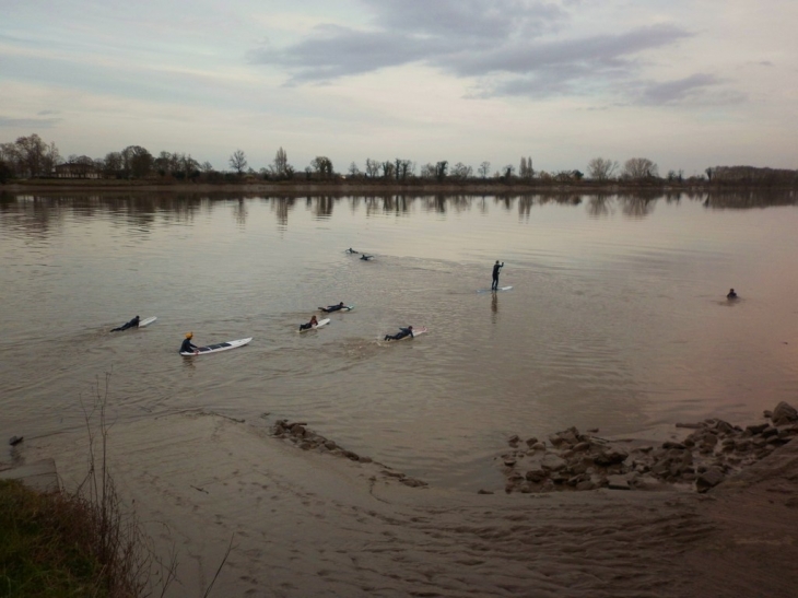 Surfers se mettant en place sur la Dordogne pour prendre la vague du mascaret. - Vayres