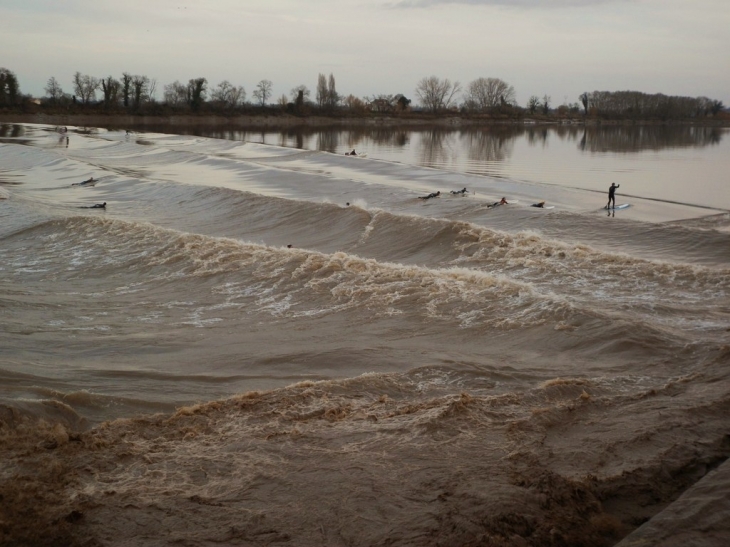 Passage du mascaret entrainant les surfers. - Vayres