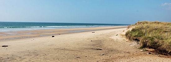 Ses plages, ses forêts, ses vignes - Vensac