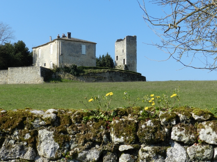 Le château de Vertheuil