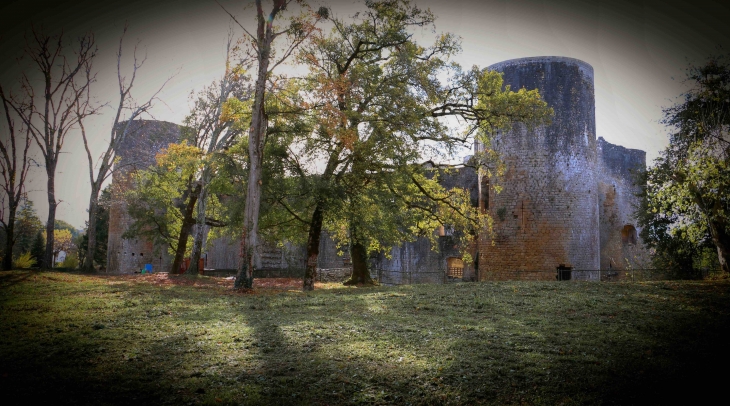 Le château de Villandraut