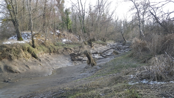 La Barbouse à marée basse à proximité de son embouchure sur la Garonne. - Virelade