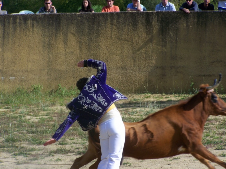 Tradition Landaise - Escalans