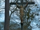 Croix de chemin aux alentours.