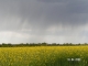 Photo précédente de Maylis Maylis : orage sur les champs de colza