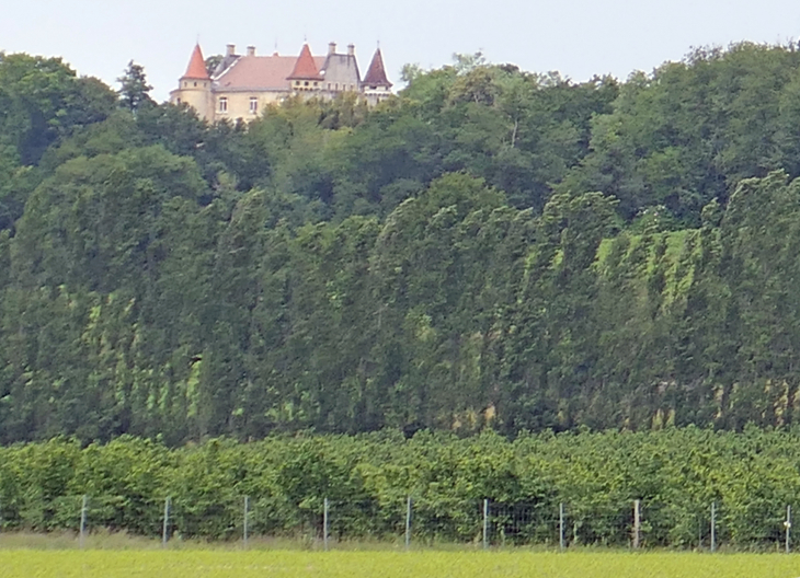 Vue sur le château - Momuy