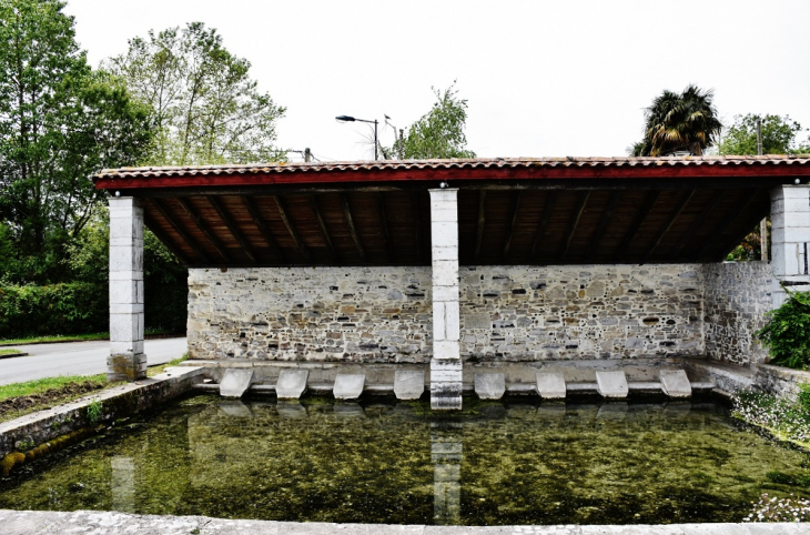 Le Lavoir - Orthevielle