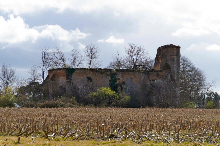 Ruines de l'église Saint-Jean-Baptiste de Mura (photo prise en mars 2013). - Parleboscq