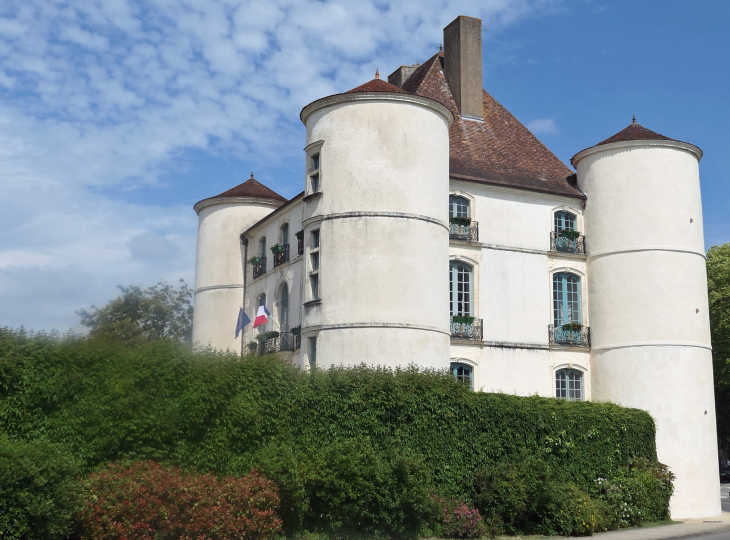 La mairie : château de Montréal (d'Orthe) - Peyrehorade