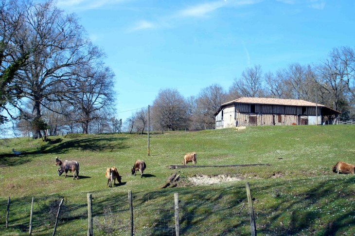 Aux alentours. - Rimbez-et-Baudiets