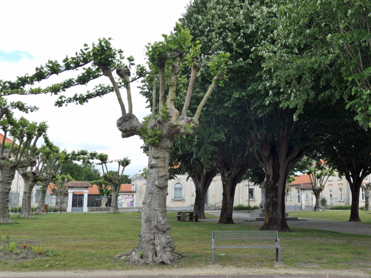 La place centrale du village - Sabres