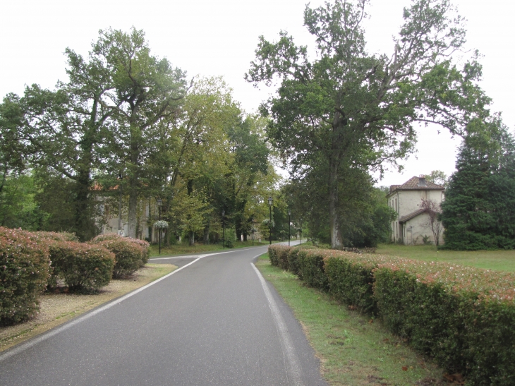 Avenue du Centenaire - Solférino