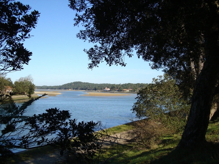 Lac d'HOSSEGOR - Soorts-Hossegor