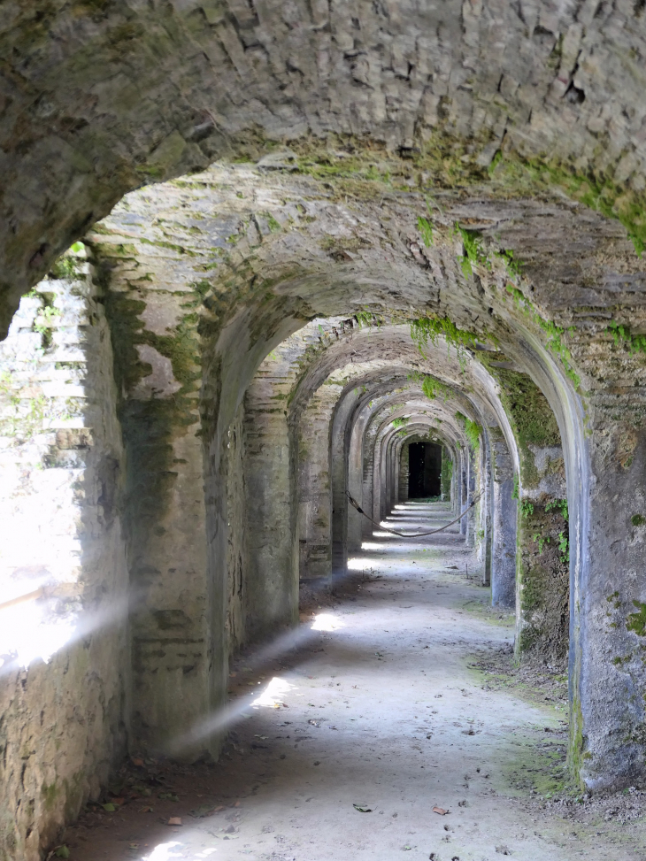 Le cryptoportique de l'abbaye - Sorde-l'Abbaye