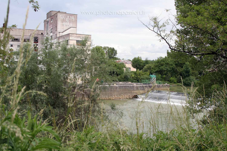 Cellulose de Buzet à Buzet-sur-Baïse