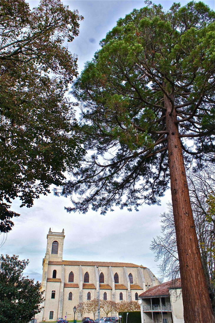 L'église - Casteljaloux