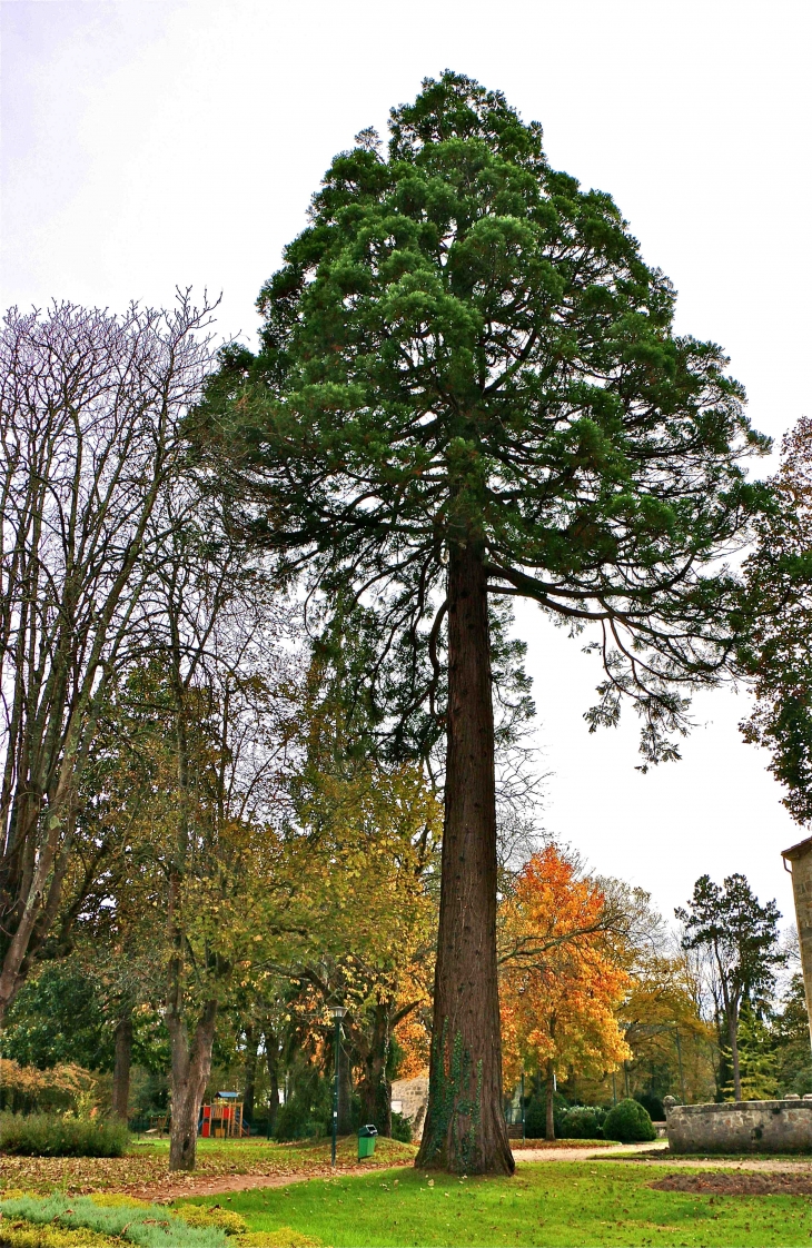 Dans le parc - Casteljaloux