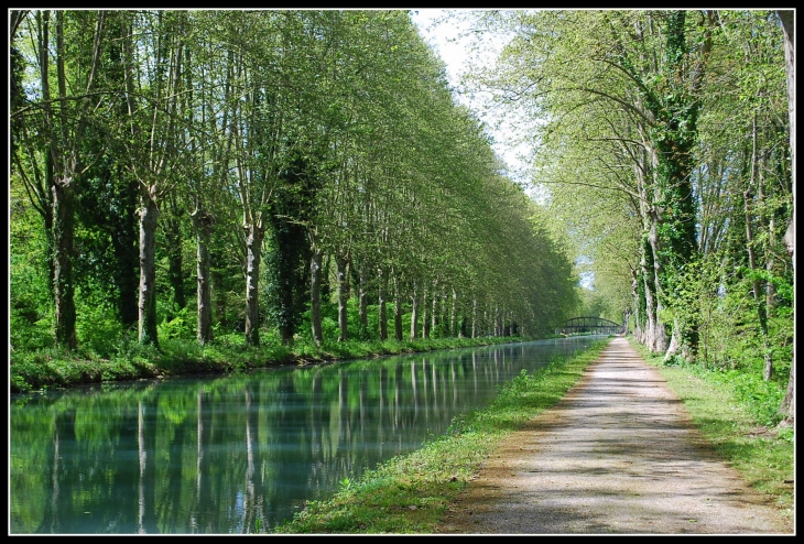 Gaumont sur Garonne  - Clairac